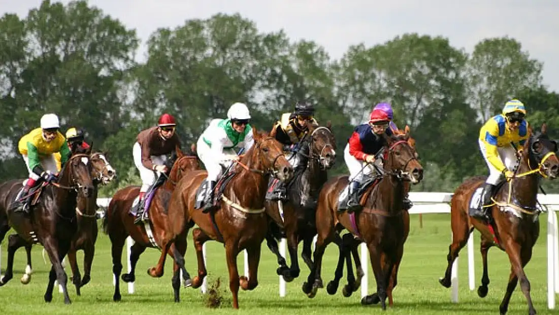Başbakanlık Kupası Sahibini Buldu!