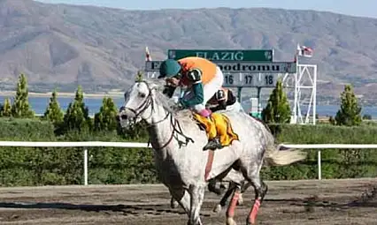 Elazığ Yedilisi Ne Kadar Verdi?