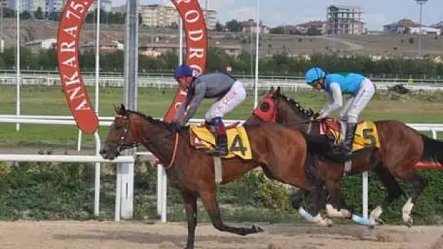 Ankara Altılısı Ne Kadar Verdi?