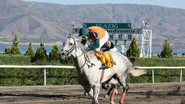 Elazığ Altılısı Ne Kadar Verdi?