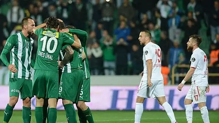 Timsah,Komşusuna Acımadı!