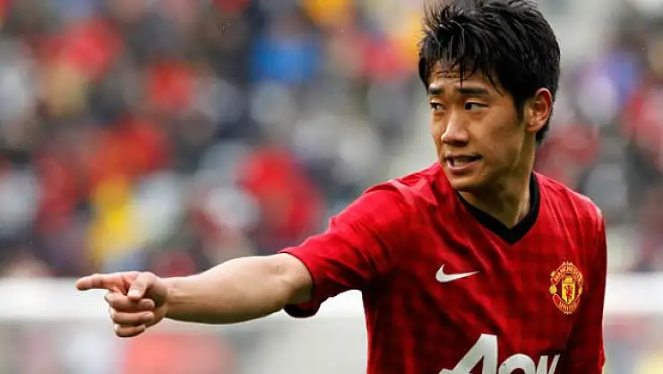 Ocak Çileği Belli!