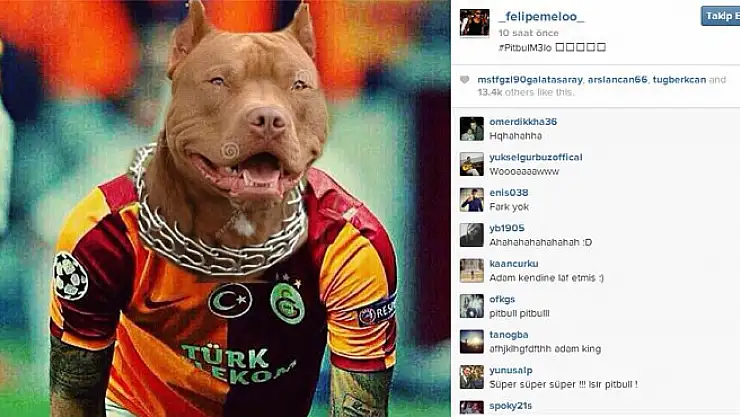 Melo'dan Olay Fotoğraf!