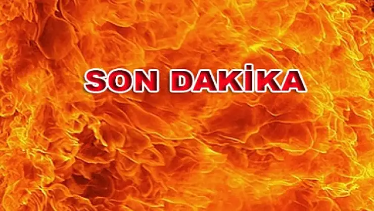 Fenerbahçe Şampiyonlar Liginde!